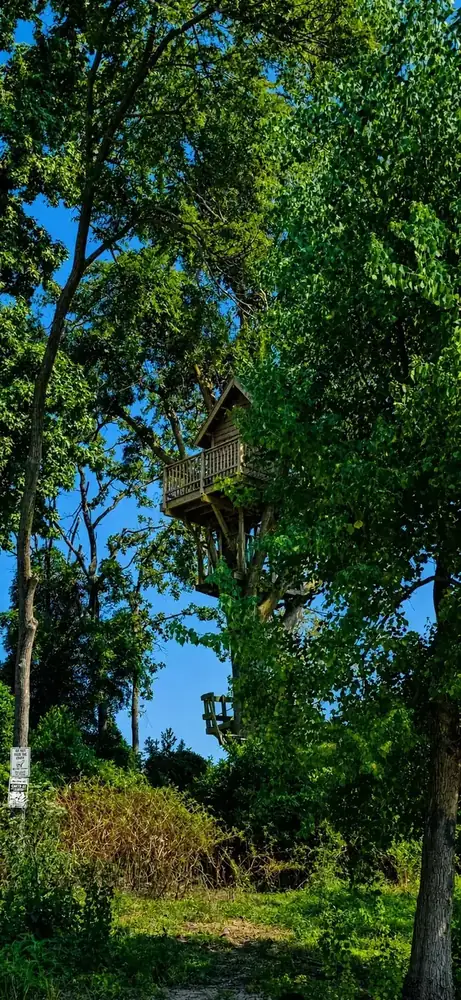Treehouse Island on Lake Palestine East Texas visible through lush summer trees